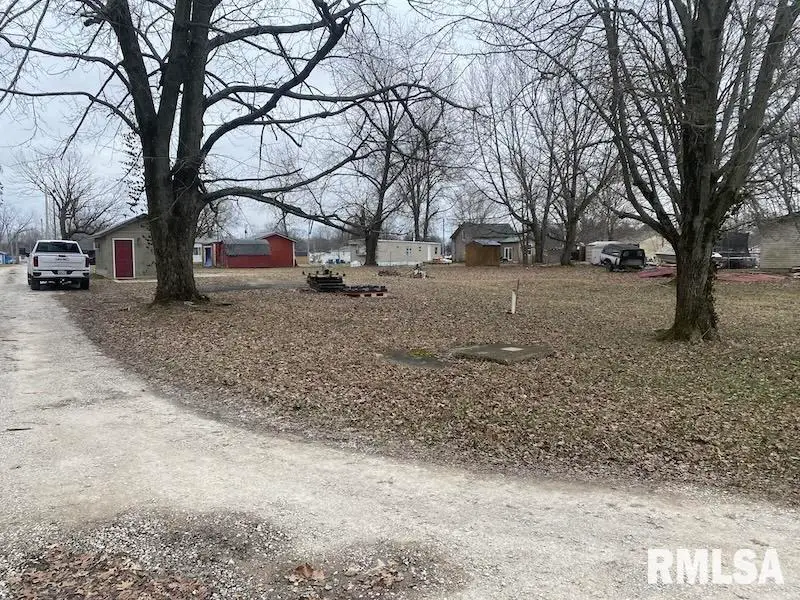 408 N Toledo Street, Martinsville, IL 62442 - #3