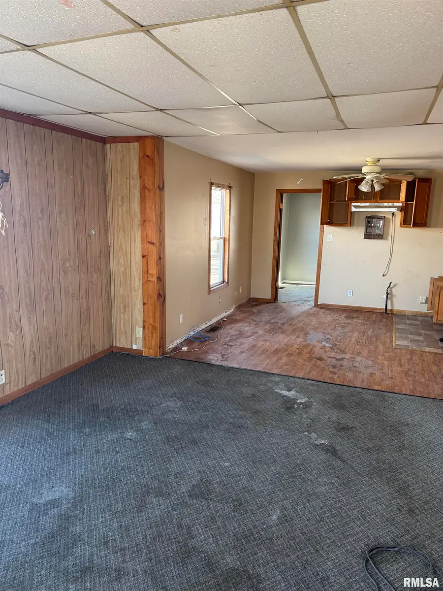 221 S Schrader Street, Havana, IL 62644 - #3