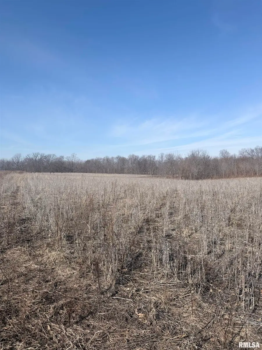 4215-4123 925th Street, Paris, IL 61944-0000 - #2