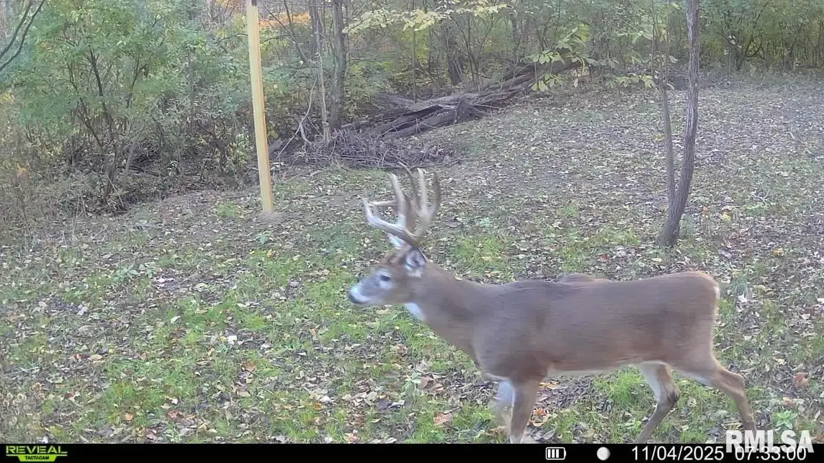 4120-4319 N 925th Street, Paris, IL 61944 - #1