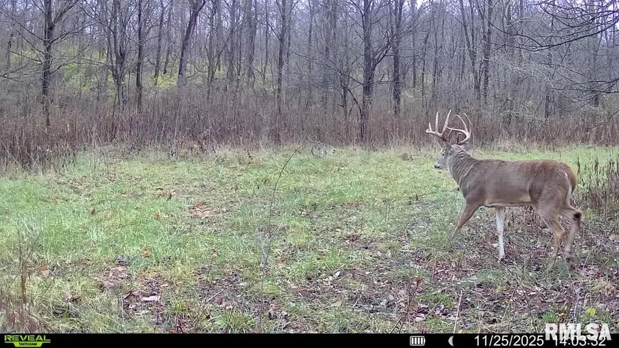 4120-4319 N 925th Street, Paris, IL 61944 - #3