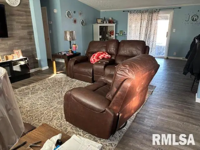 307 S Main Street, Modesto, IL 62667 - #3