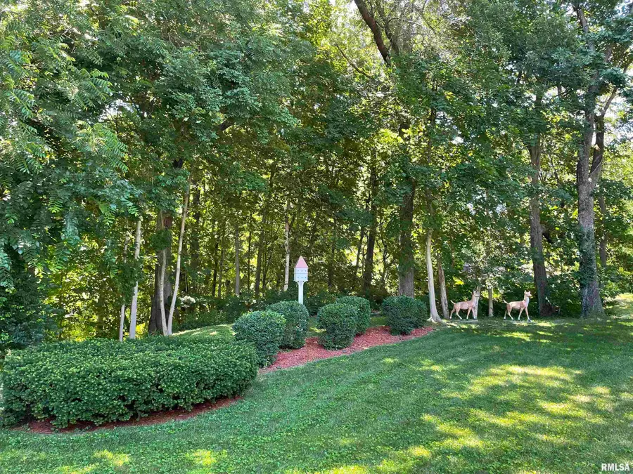 5126 Homan Falls Drive, Quincy, IL 62305-6274 - #3