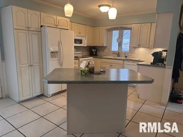 403 Pendik Road, Jacksonville, IL 62650 - #3