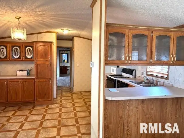 1515 N Lincoln Avenue #74, Springfield, IL 62702 - #3