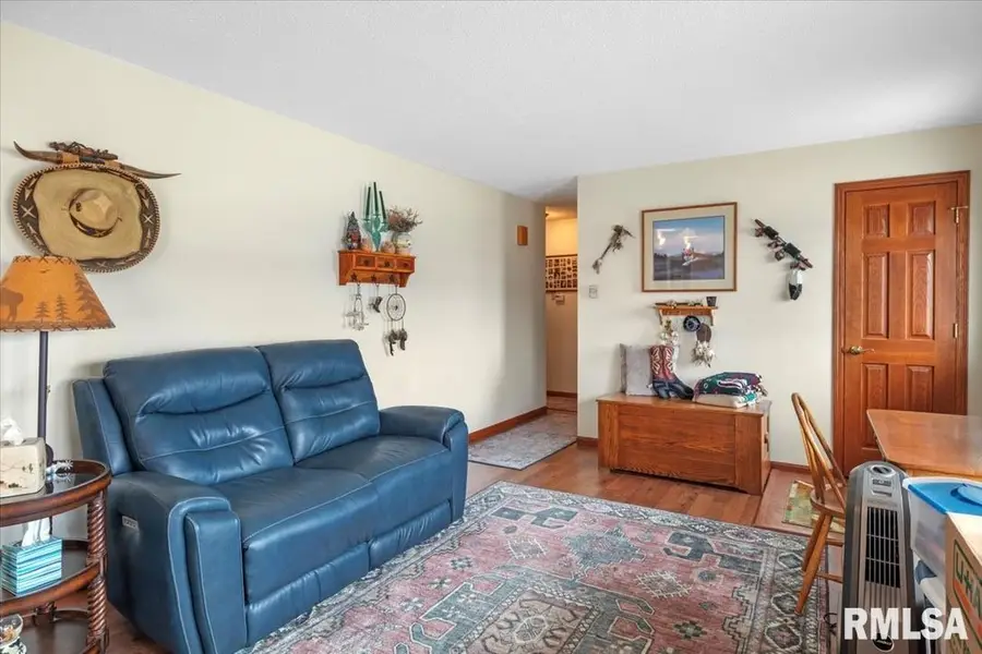 14201 Williamson Road, Virden, IL 62690 - #3