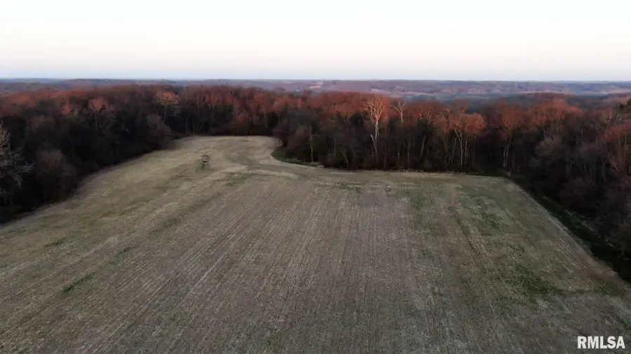 000 Lafollett Road, Brimfield, IL 61517 - #2