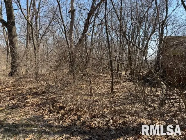 Lots 14 15 16 Deer Crossing Lane, Petersburg, IL 62675 - #2