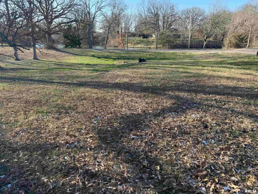 Lot 10 Lakeside Drive, Taylorville, IL 62568 - #2