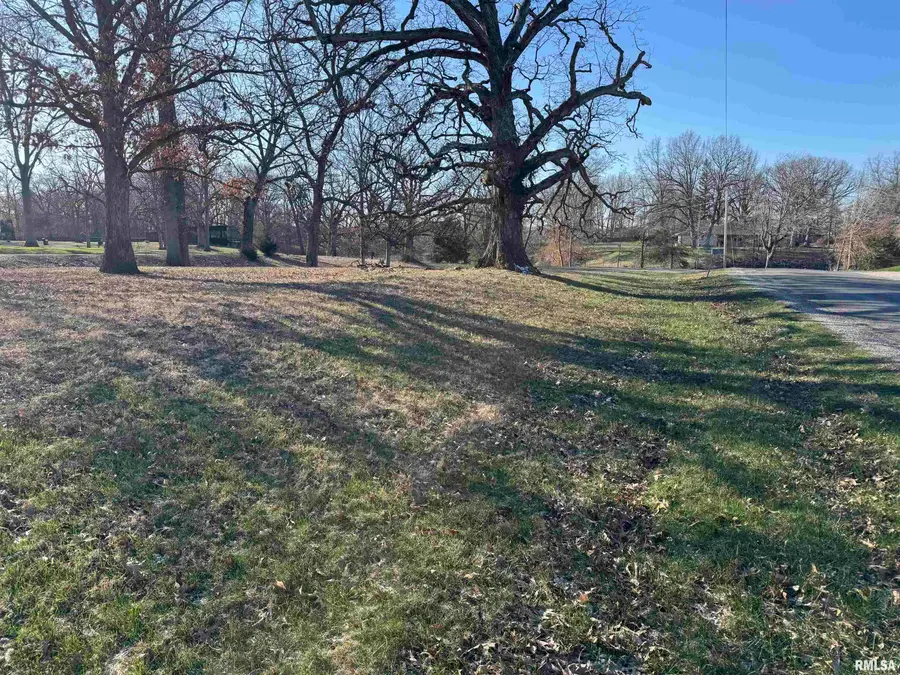 Lot 10 Lakeside Drive, Taylorville, IL 62568 - #3