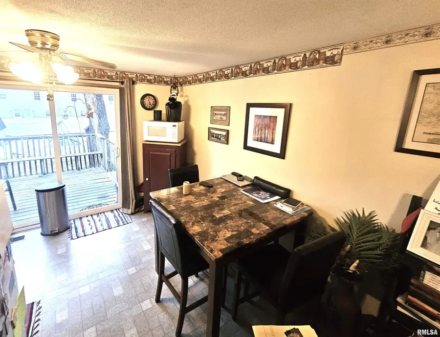 355 Mcdivitt Avenue, Lincoln, IL 62656 - #3