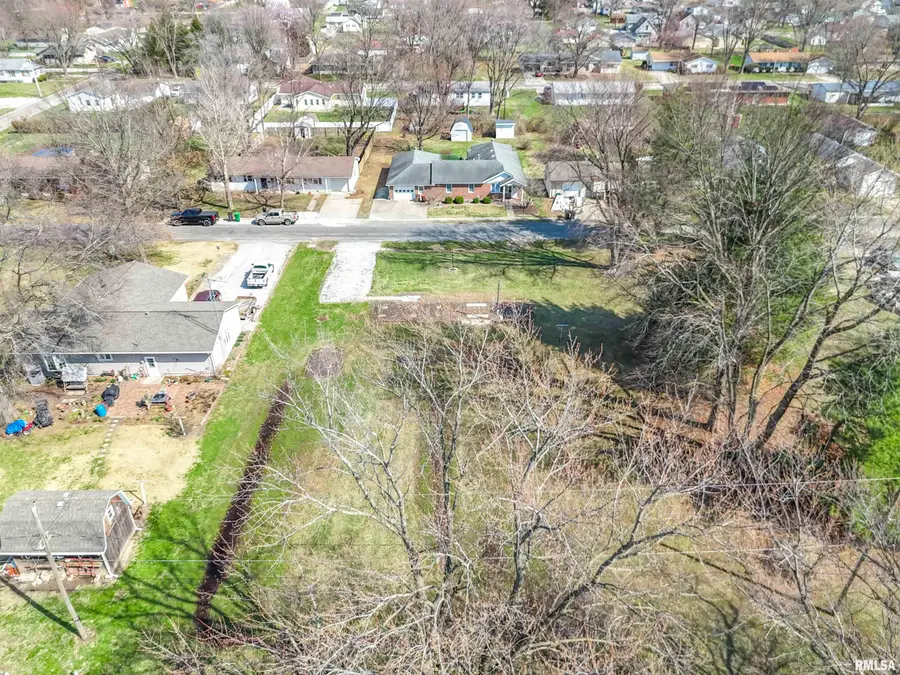 Minton Street, Carlinville, IL 62626 - #3