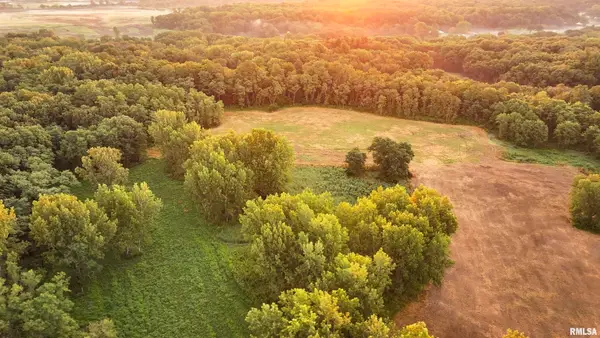 000 Sherwood Road, Dahinda, IL 61428