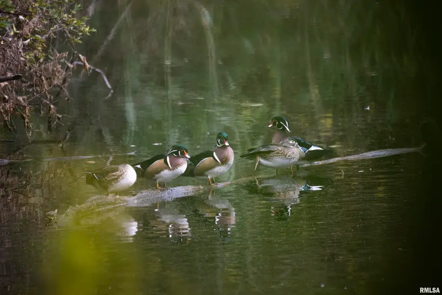 000 Sherwood Road, Dahinda, IL 61428 - #2