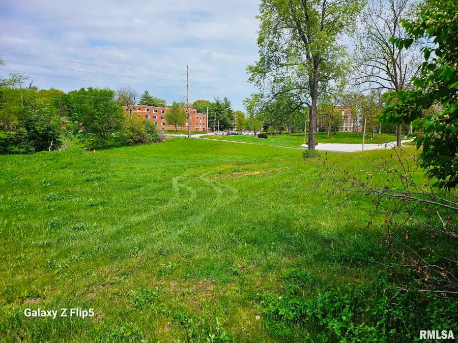 L 2-4 Ravine Street, Carlinville, IL 62626 - #3