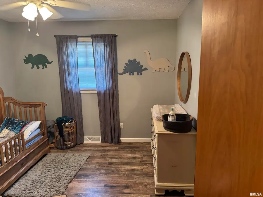 111 W Concord Drive, Petersburg, IL 62675 - #3