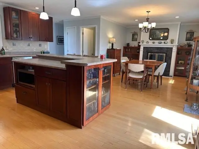 2 Mary Lane, Jacksonville, IL 62650 - #3