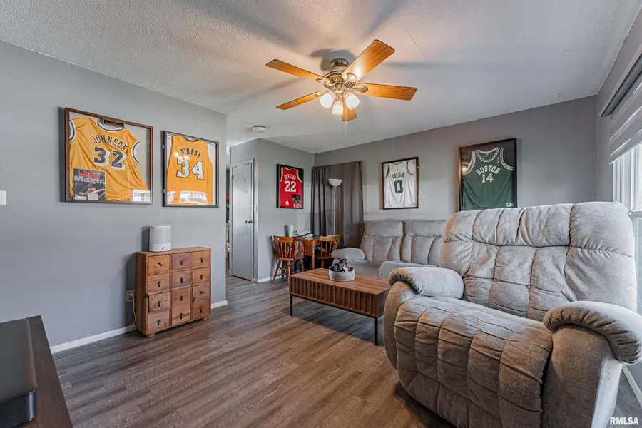 325 Mcdivitt Avenue, Lincoln, IL 62656 - #2