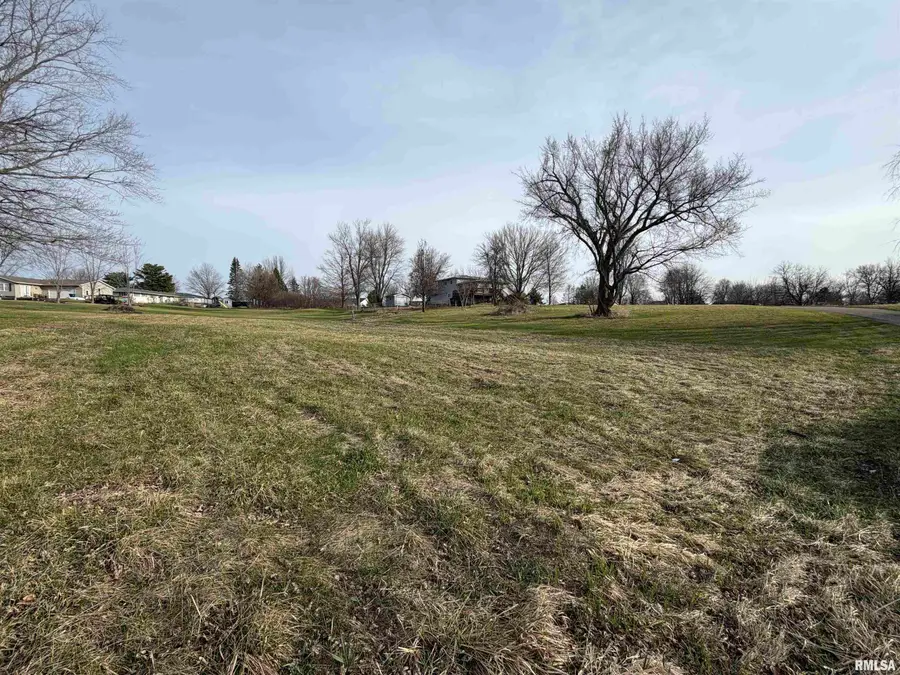 Lot 437 Horseshoe Drive, Avon, IL 61415 - #2