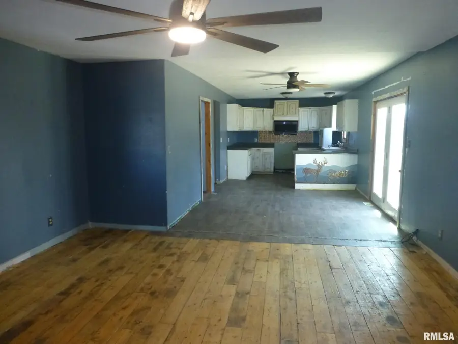 15745 Tice Road, Petersburg, IL 62675 - #3