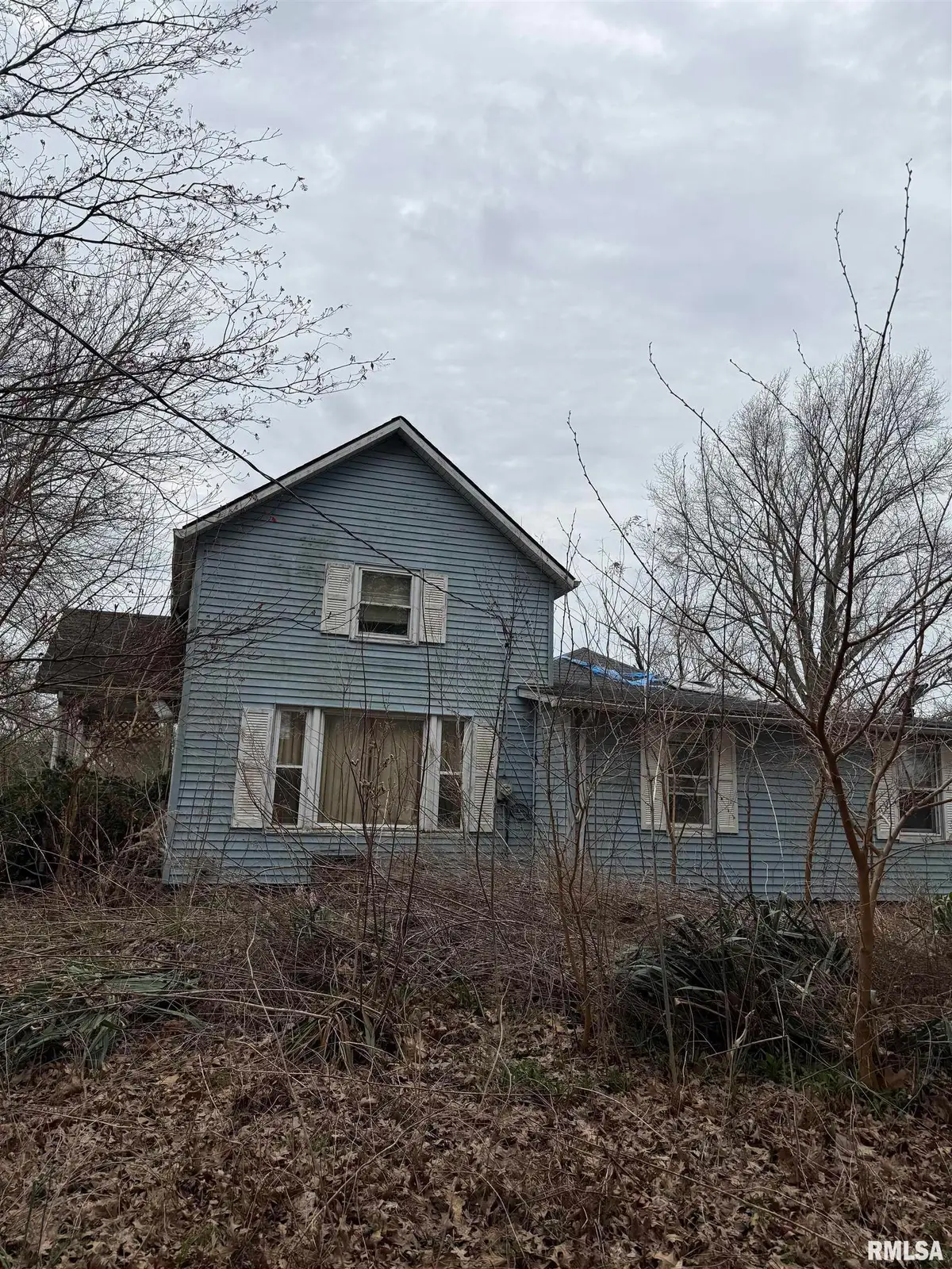 5243 S Williamsville Road, Sherman, IL 62684 - #1