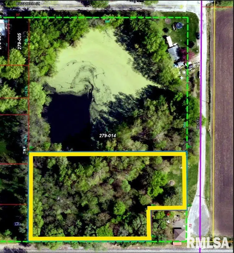 Elizabeth Street, Illiopolis, IL 62539 - #1