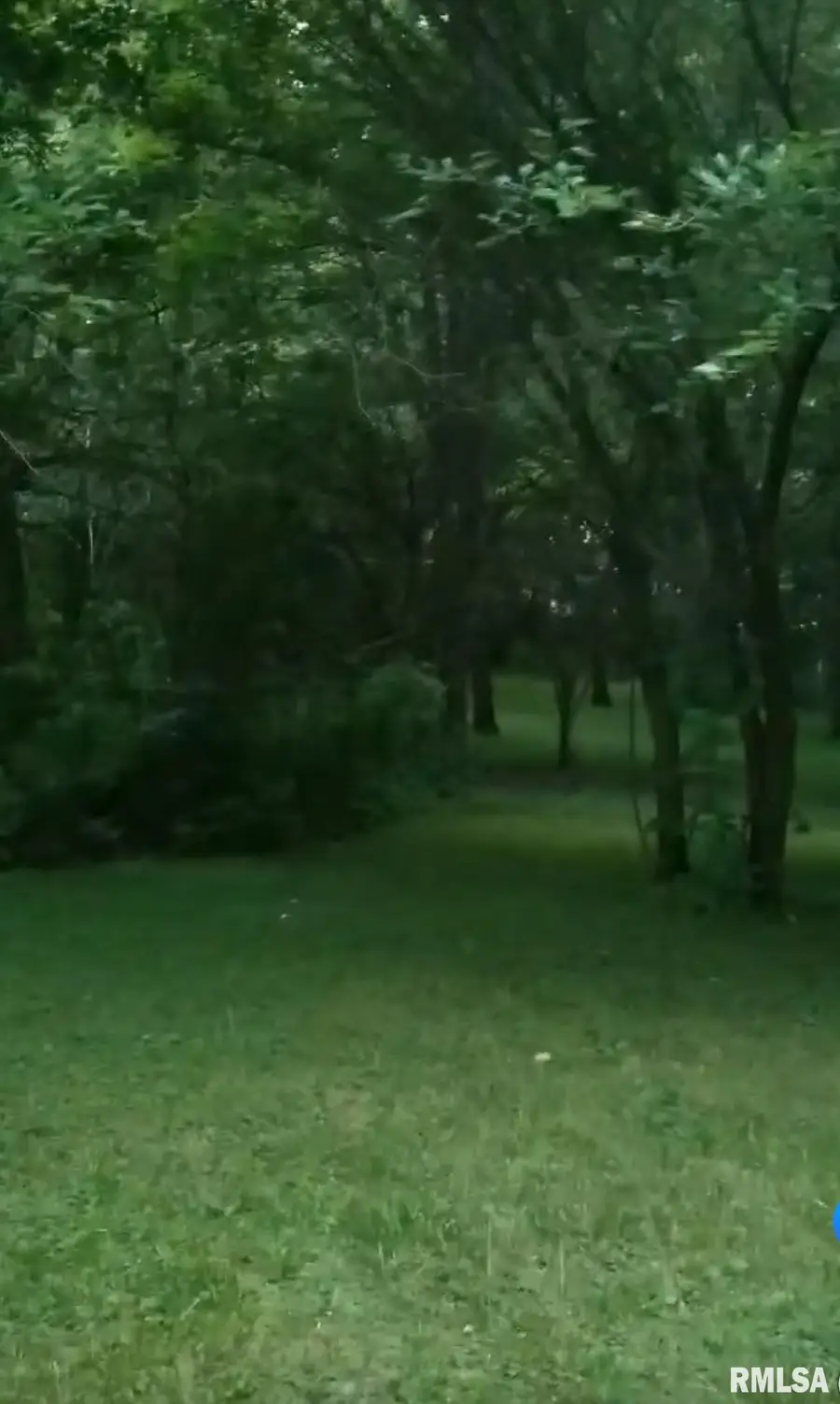 Elizabeth Street, Illiopolis, IL 62539 - #2