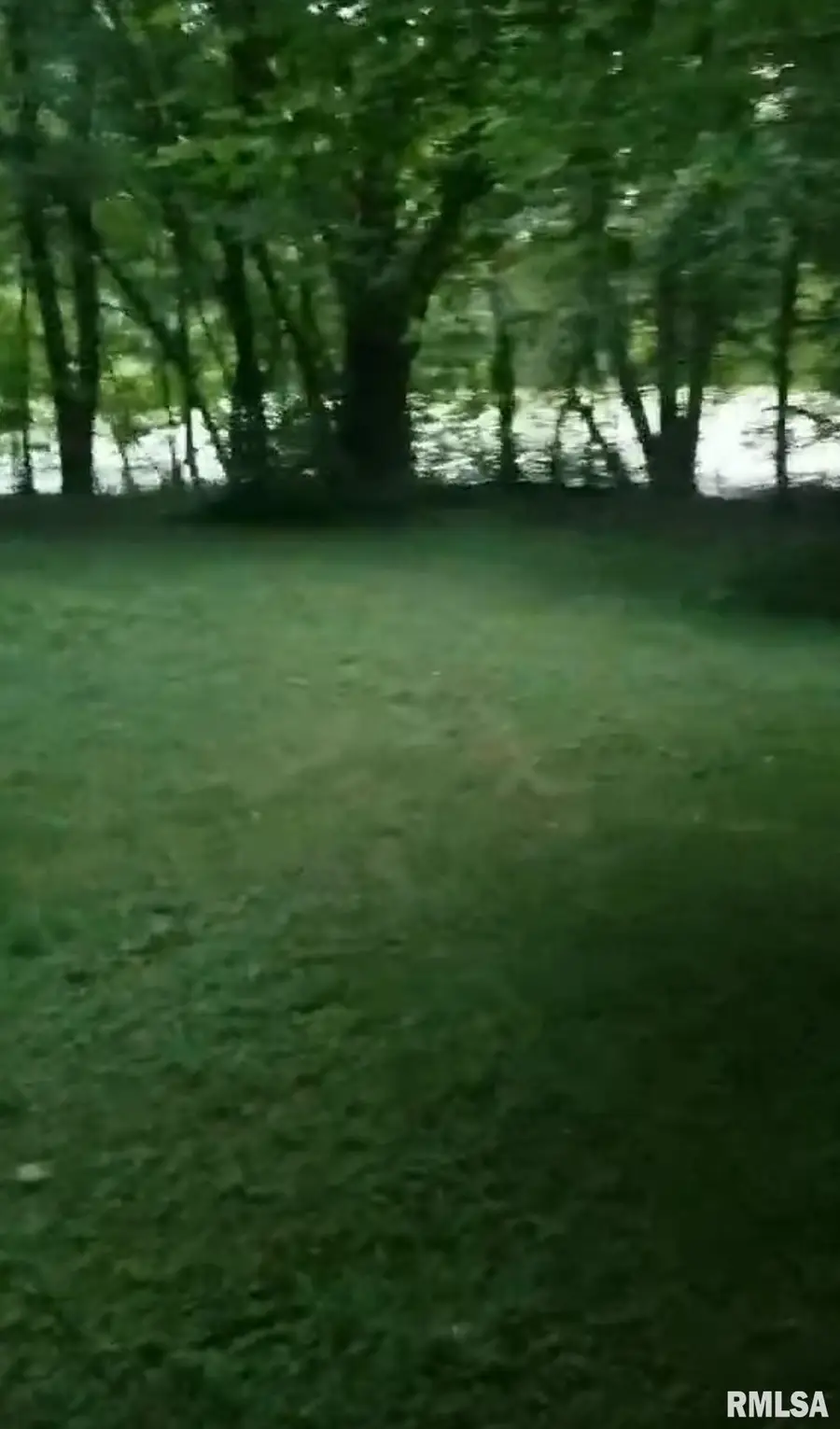 Elizabeth Street, Illiopolis, IL 62539 - #3