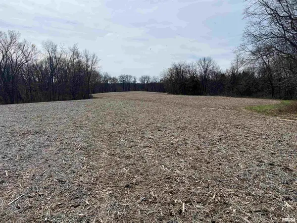 0 E State Route 95, Marietta, IL 61459