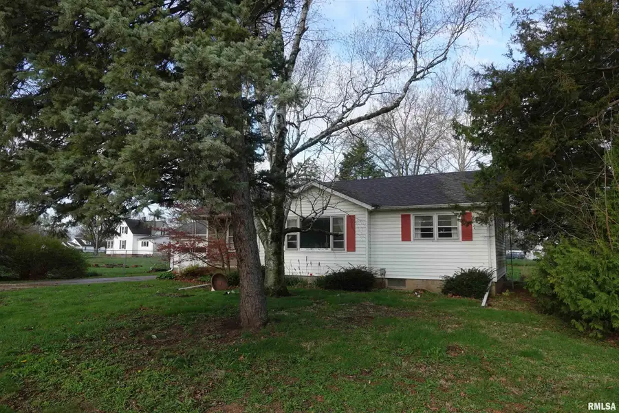 126 N Sparta Street, Wataga, IL 61488 - #3