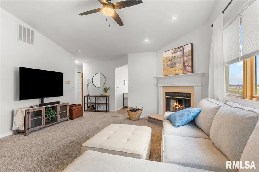 113 Eagle Ridge Drive, Chatham, IL 62629 - #3