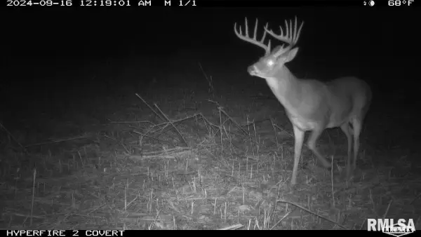 000 Goodman Pond Road, Dongola, IL 62926