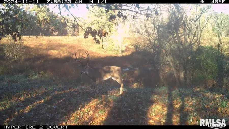 000 Goodman Pond Road, Dongola, IL 62926 - #3