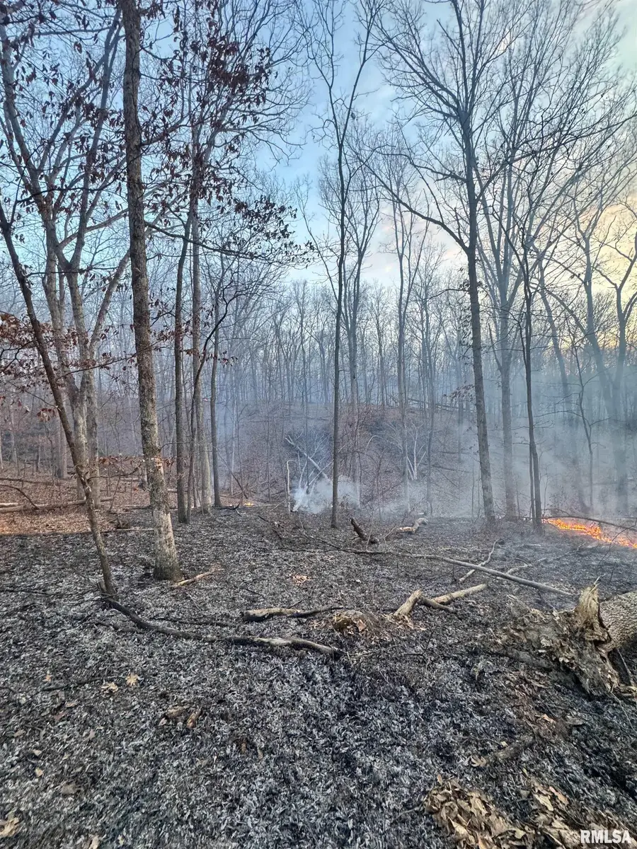 RR County Road 400 E, Mount Sterling, IL 62353 - #3