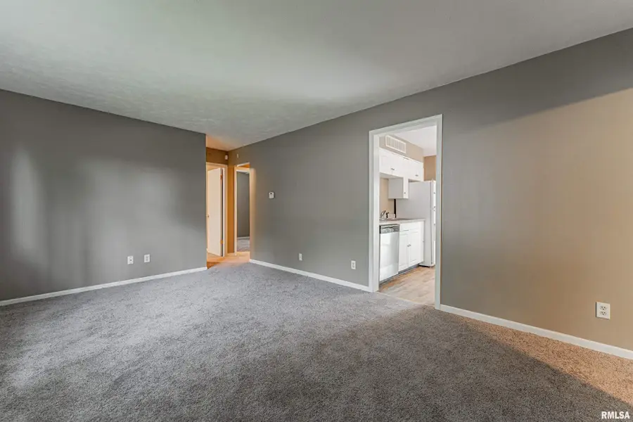 205 Palmer Avenue, Lincoln, IL 62656 - #3
