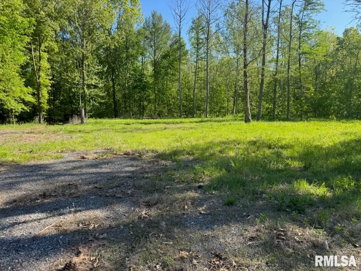 000 Herrin Road, Carterville, IL 62918 - #1