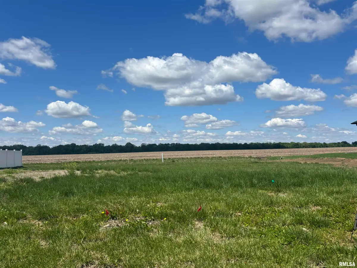 729 Nine Rock Road, Sherman, IL 62684 - #1