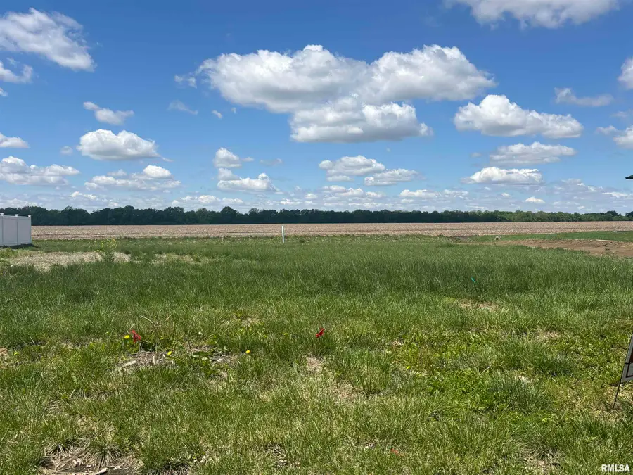 729 Nine Rock Road, Sherman, IL 62684 - #2