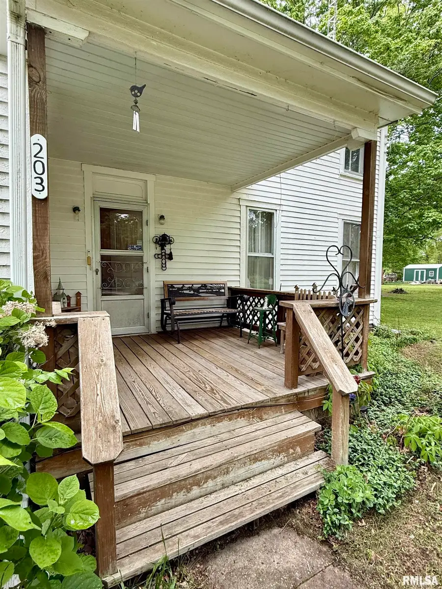 203 E Water Street, London Mills, IL 61544 - #3