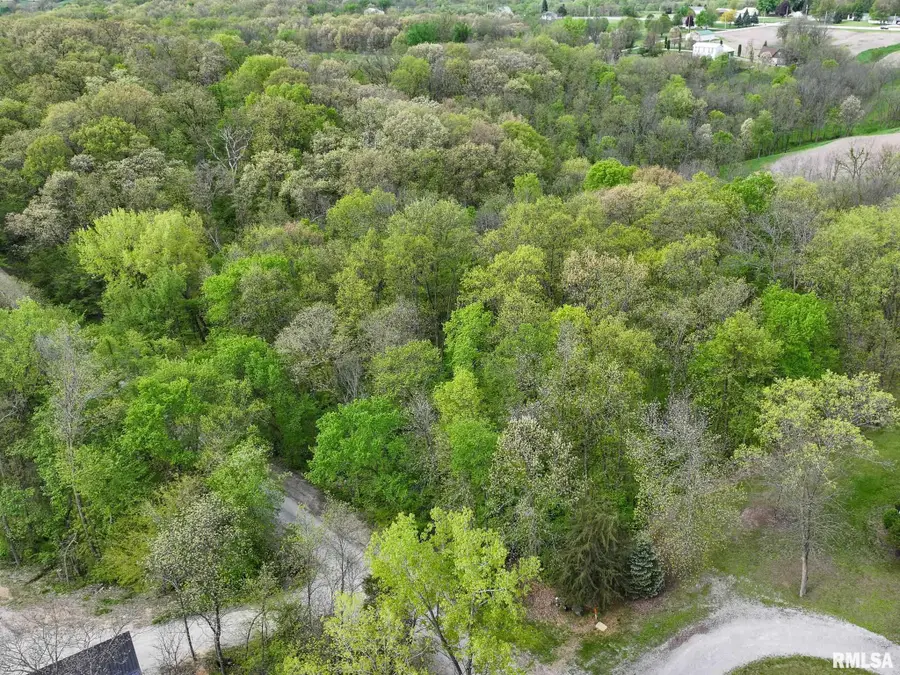 Woodland Drive, Sherrard, IL 61281 - #2