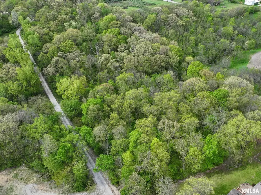 Woodland Drive, Sherrard, IL 61281 - #3