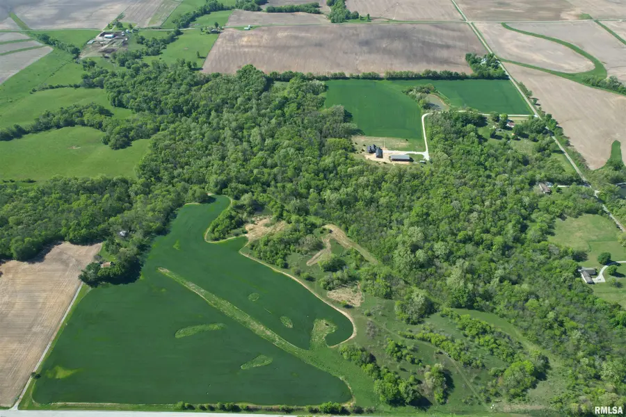 14300 E Oakford Avenue, Oakford, IL 62673 - #3