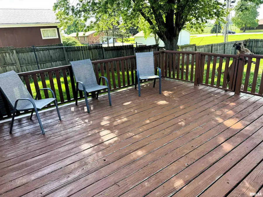 827 E Washington Street, Havana, IL 62644 - #3