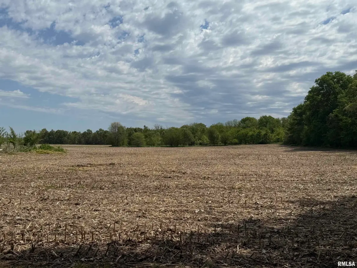 N School Street, Oakford, IL 62673 - #1