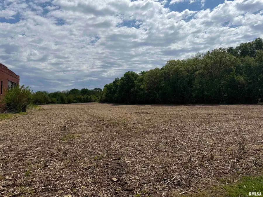 N School Street, Oakford, IL 62673 - #2