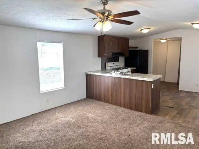 1515 N Lincoln Avenue #65, Springfield, IL 62702 - #3