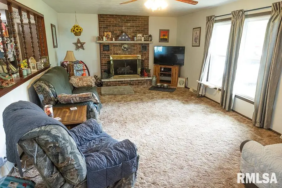 9502 Anglen Road, Farina, IL 62838 - #3