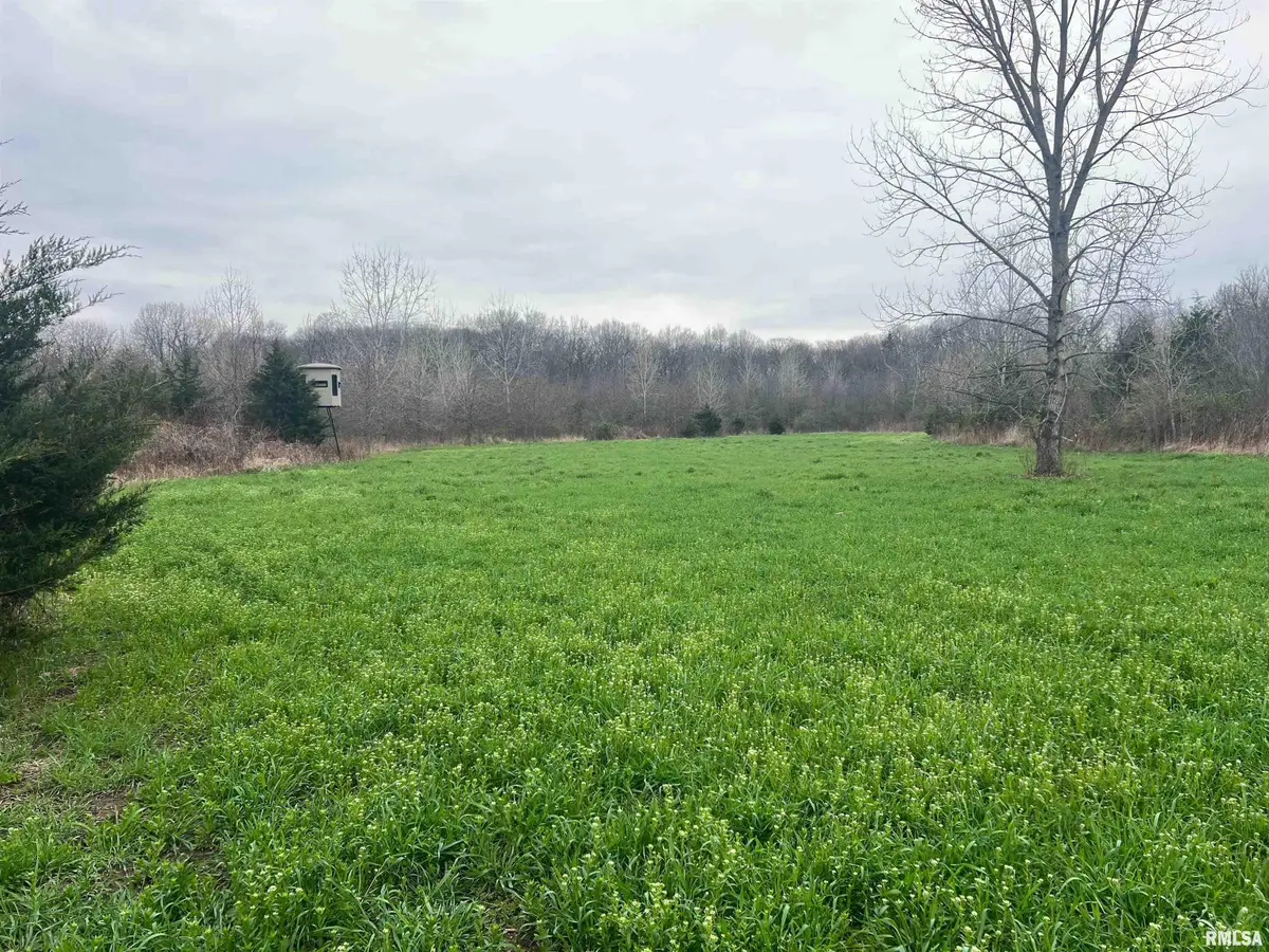 RR Flower Creek Road, Plymouth, IL 62367 - #1