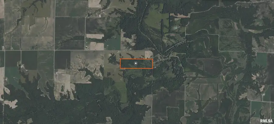 RR Flower Creek Road, Plymouth, IL 62367 - #2