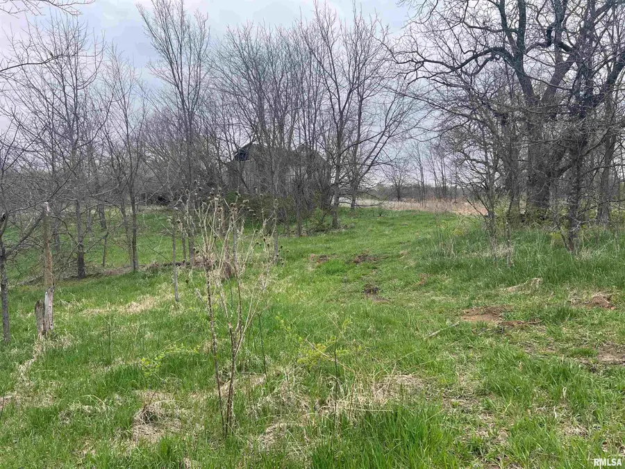 RR Flower Creek Road, Plymouth, IL 62367 - #3